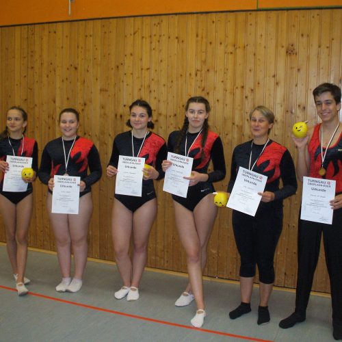 2017 Gaumeisterschaft